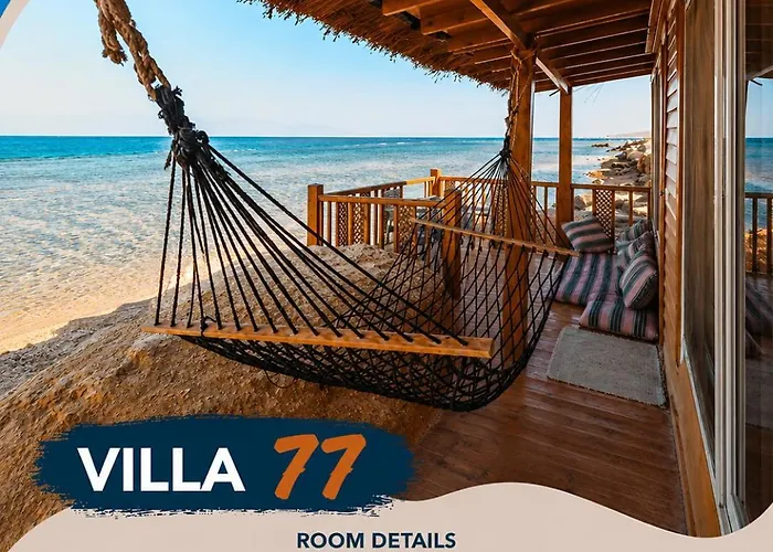 New Moon Island Camp * Nuweiba`